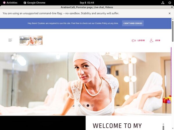 ArabianCalli Previews