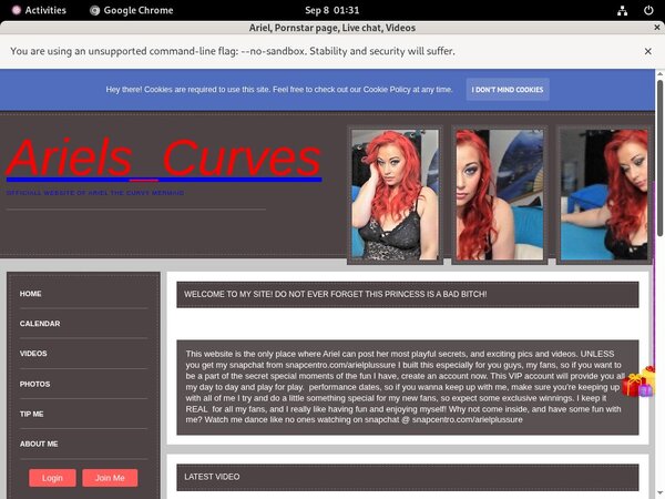 Ariel Login Information