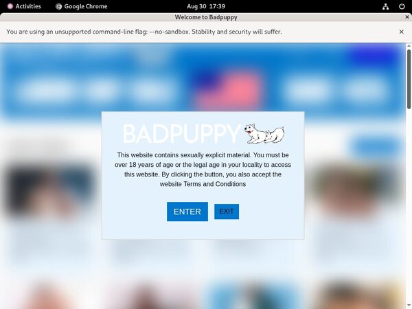 Badpuppy.com Paypal Sign Up