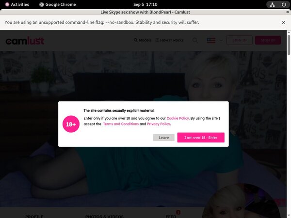 Camlust.com Login Details