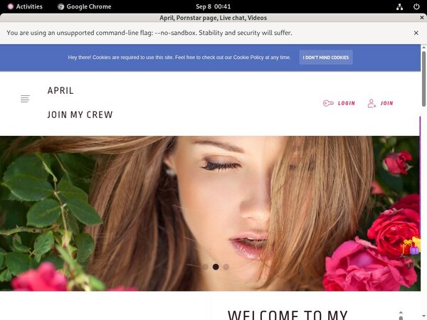 Discount Ladyapril Subscription