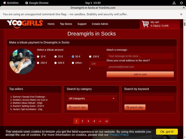 DreamgirlsInSocks ??