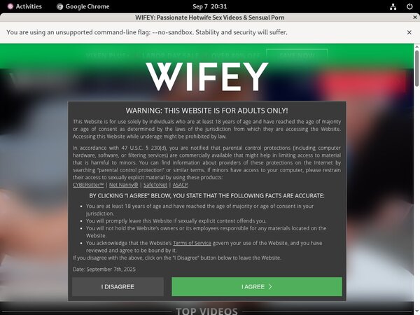 Free Access To Wifey