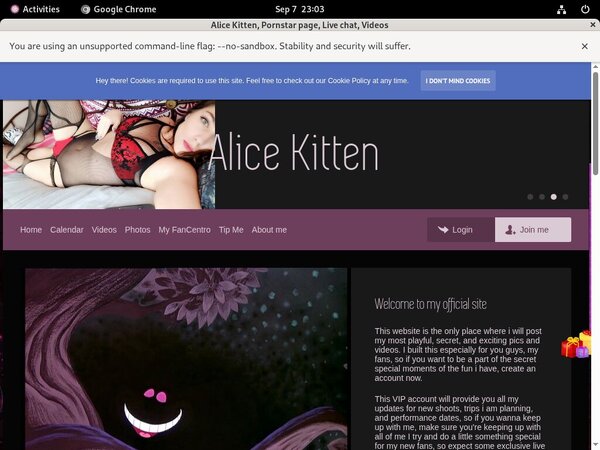 Free Alice Kitten Premium Passwords