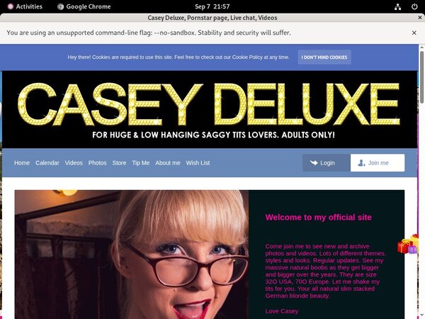 Free Casey Deluxe Trial Account
