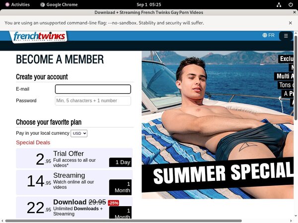 French Twinks Website Password