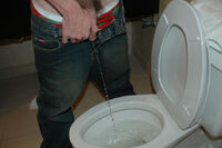 Full Boys-pissing.com Videos s4