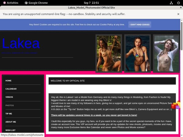 Get Lakea_Model Password