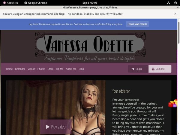 Get Missvanessa.modelcentro.com Free Login