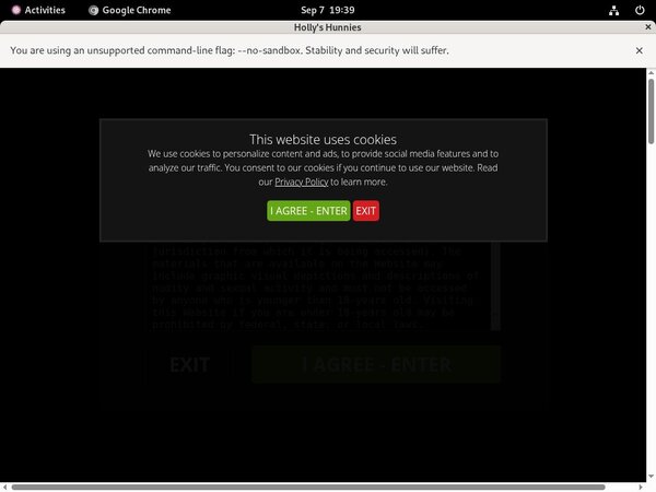 Hollyshunnies Bezahlen Hollyshunnies Bezahlen