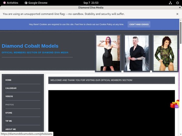 How Much Does DiamondDivaMedia Cost