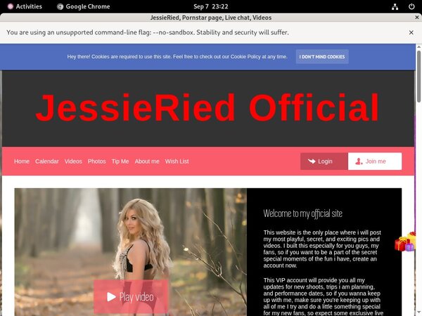 How To Access JessieRied