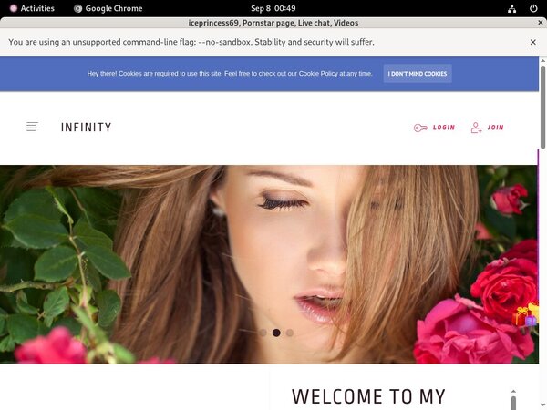 Iceprincess69 Password Hack