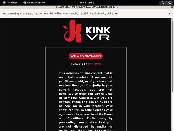 Kinkvr.com Password