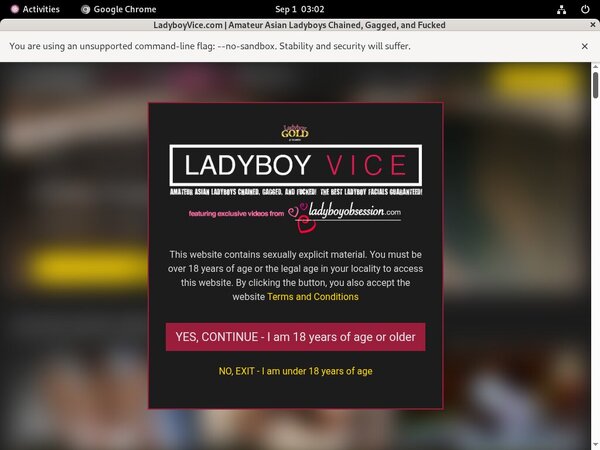 Ladyboy Vice Discounted Offer