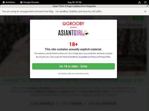 Ladyboyladyboy Adult