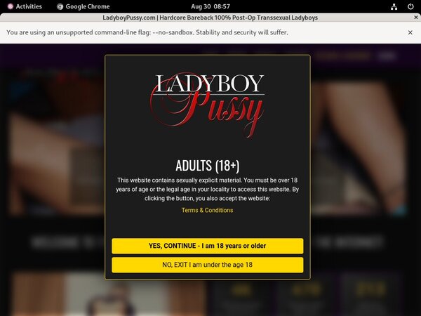 Ladyboypussy.com Real Accounts Ladyboypussy.com Real Accounts