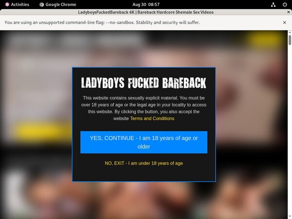 Ladyboysfuckedbareback.com Trial Cost