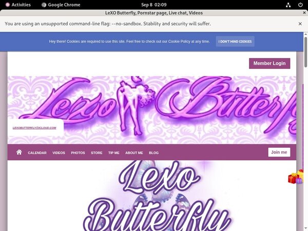 LeXO Butterfly Account Passwords