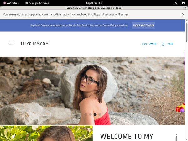 Lilychey.com Web