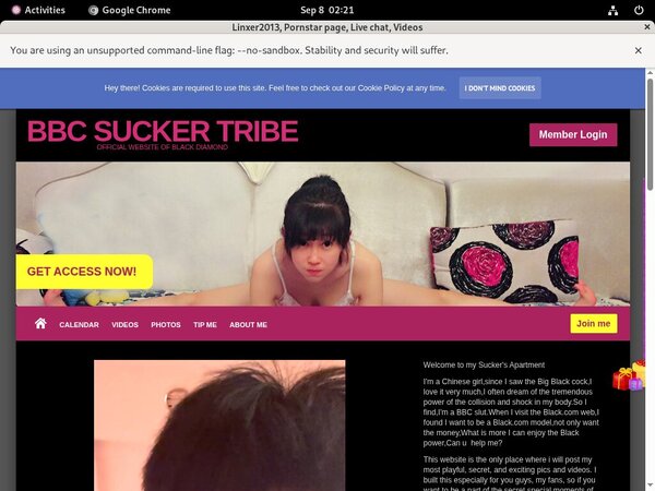 Linxer2013 Discount Special