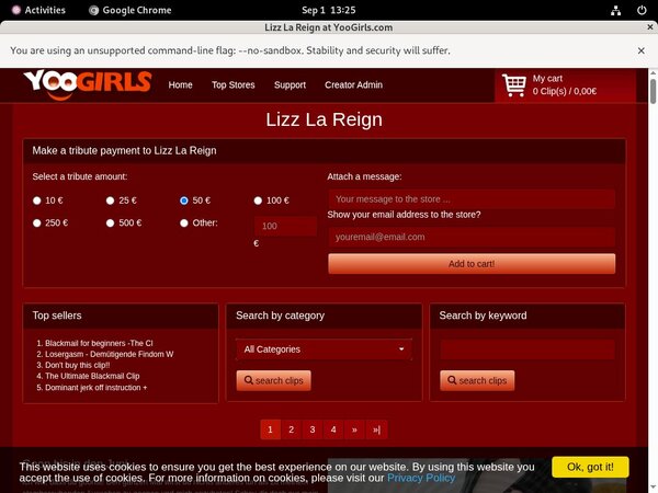 LizzLaReign Site