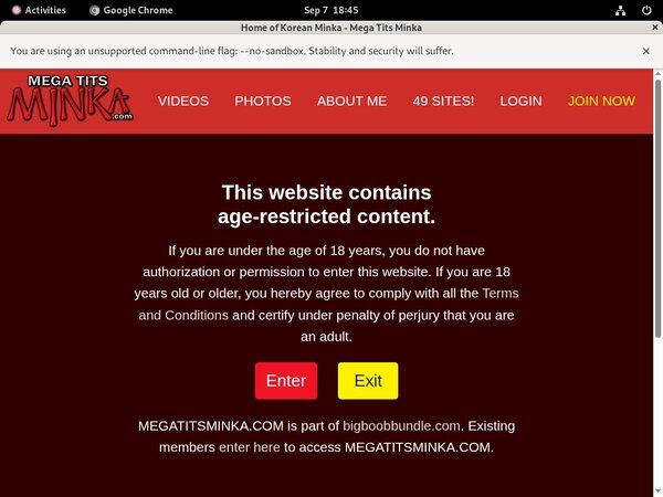 Megatitsminka.com Xxx Passwords