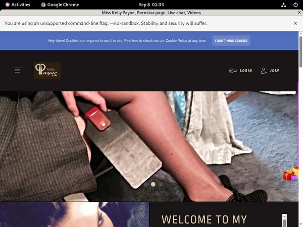 Misskellypayne.modelcentro.com Co