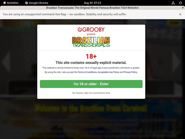 New Braziliantranssexuals Discount