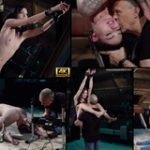 New Subspaceland Password