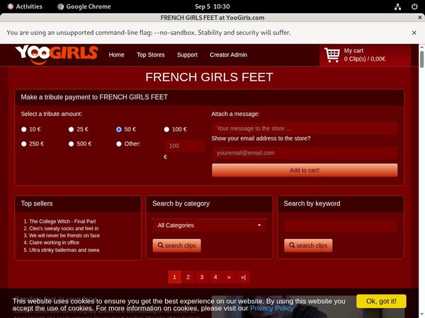 Password FRENCHGIRLSFEET