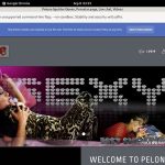 Pelonasquirterqueen.com Logon