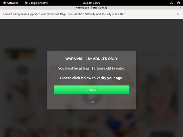 Perfect Gonzo Promo Codes