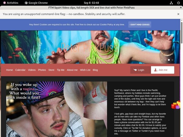 Peterpinkpuss Epoch Page