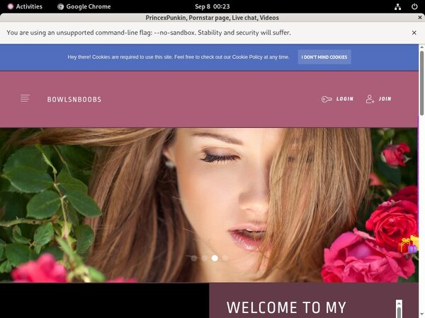 PrincexPunkin Free Trial Discount PrincexPunkin Free Trial Discount