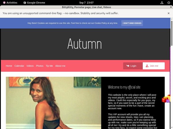 Promo Codes BittyKitty