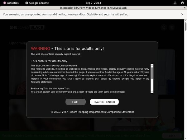 Shelovesblack.com Checkout Form
