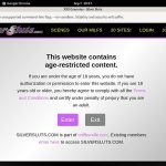 Silversluts Bank Payment