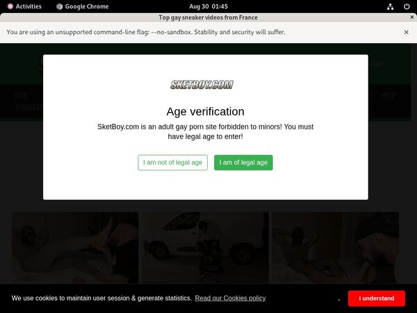 Sketboy.com Porn Pass