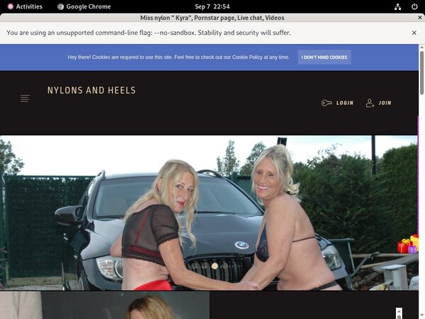 Stockingsandhighheels.com Fresh Passwords