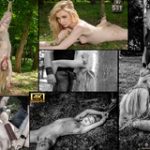 Subspace Land Free Memberships