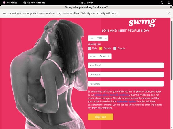 Swing.net Instant Access