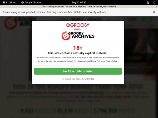 Thegroobyarchives Sex Tape