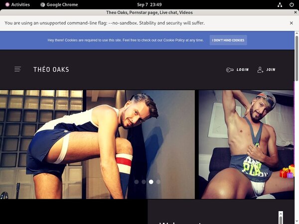 Theo Oaks Network Login