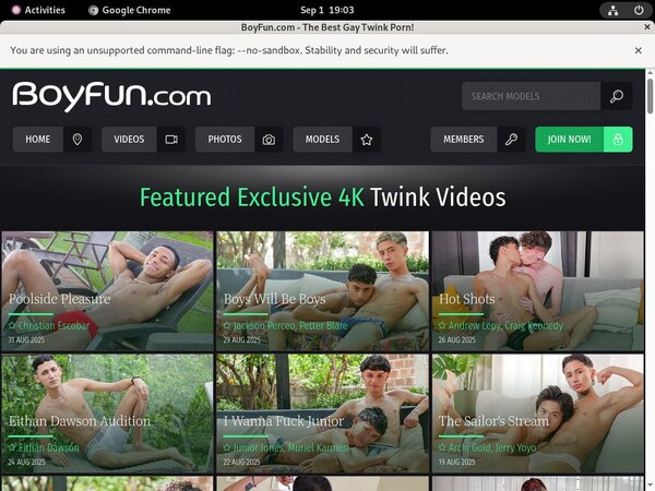Use Boy Fun Discount Link