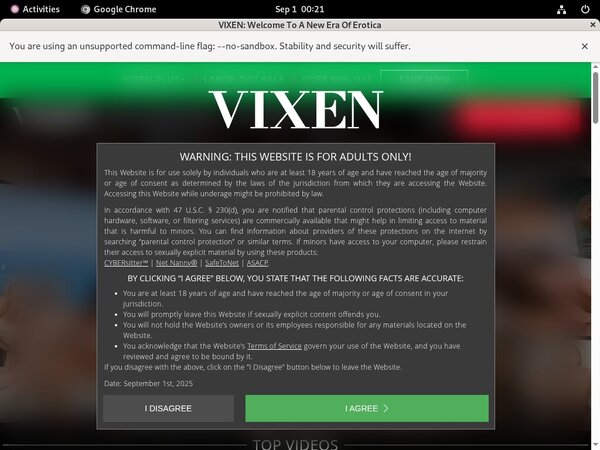 Vixen Paysite Review