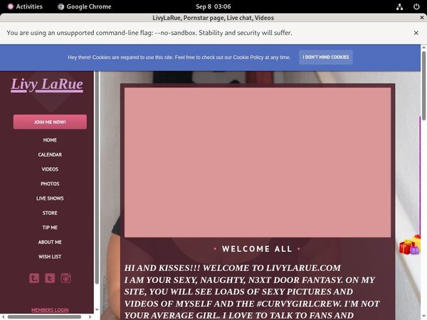 Who Is Livylarue.modelcentro.com