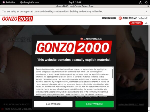 Www Gonzo 2000