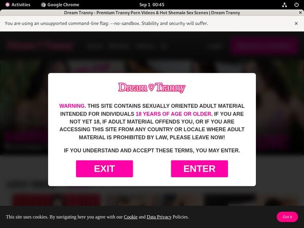 How To Get Dreamtranny.com Account